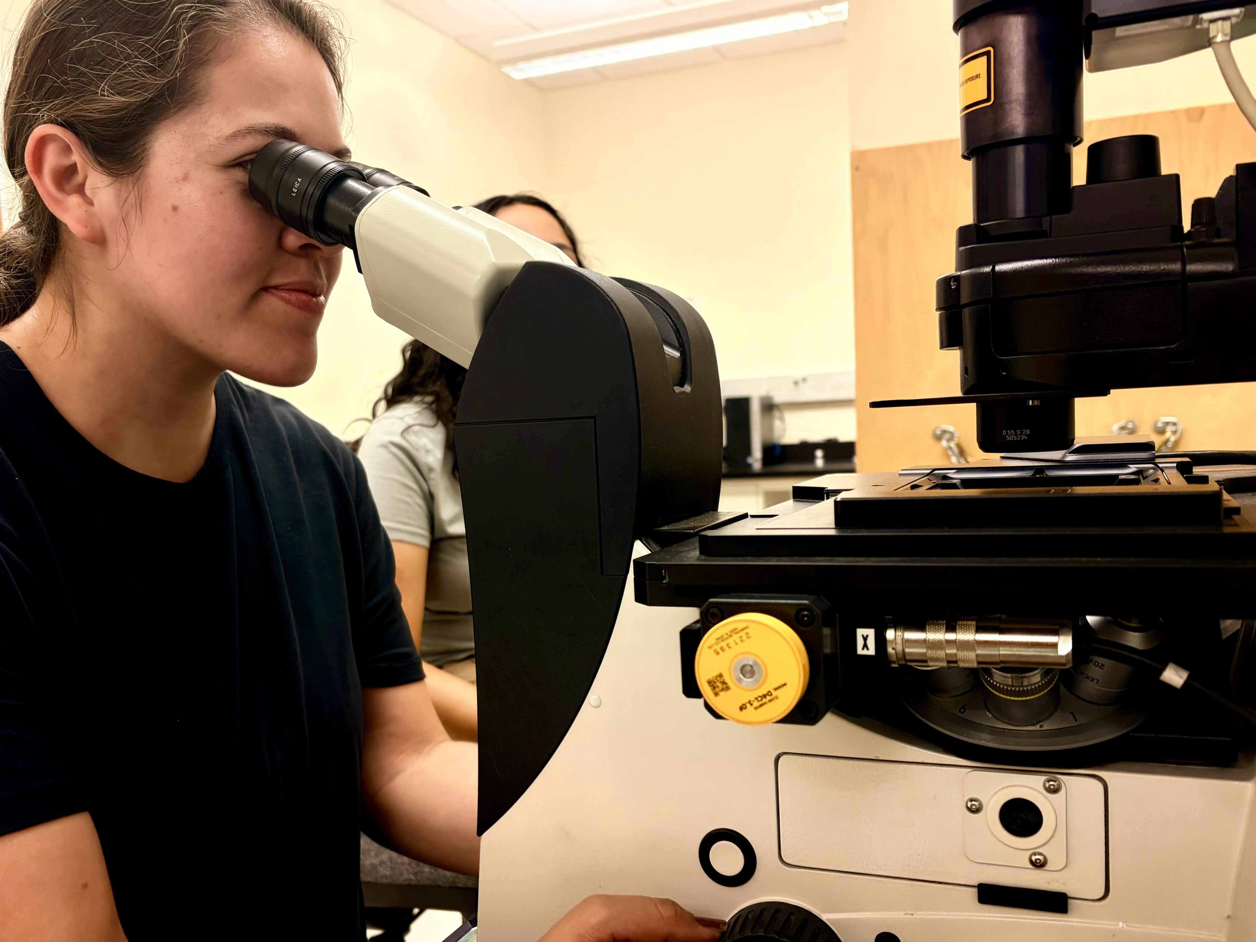 High-resolution microscopy imaging at New Mexico State University